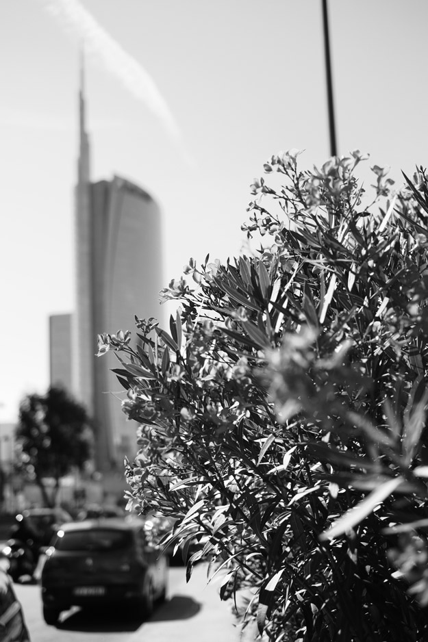 Milano - Viale della Liberazione Flower sand Unicredit Sky scrapers 2014